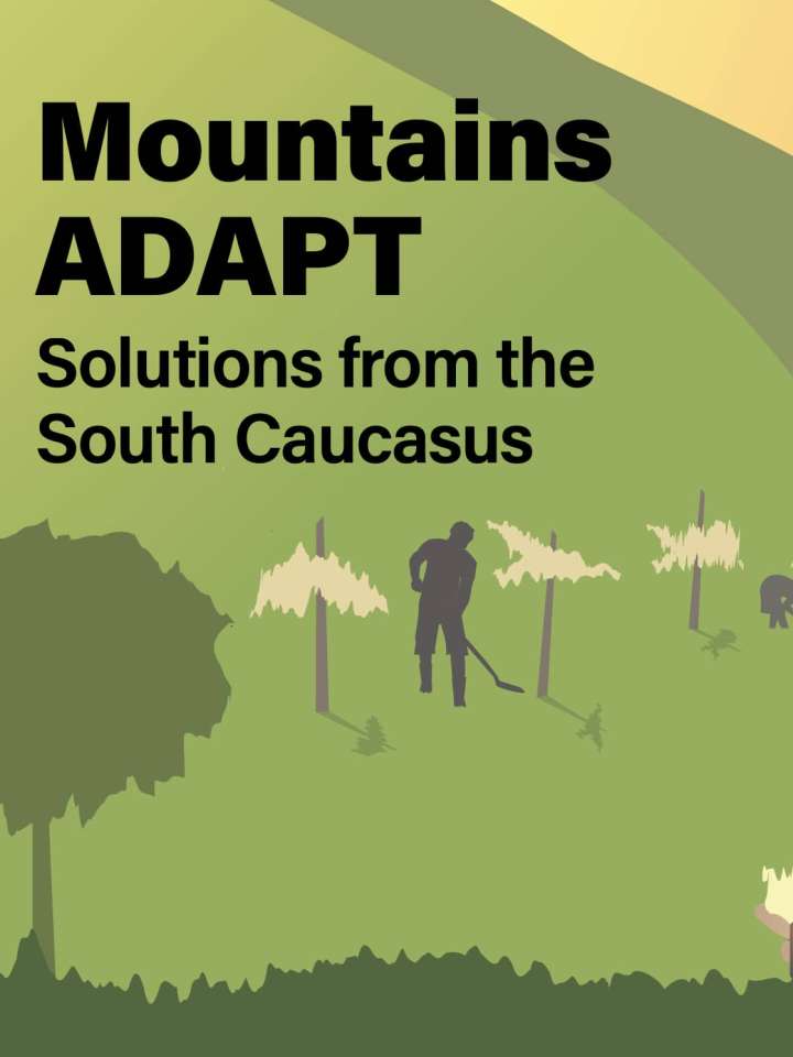 This image shows the first page of the publication.