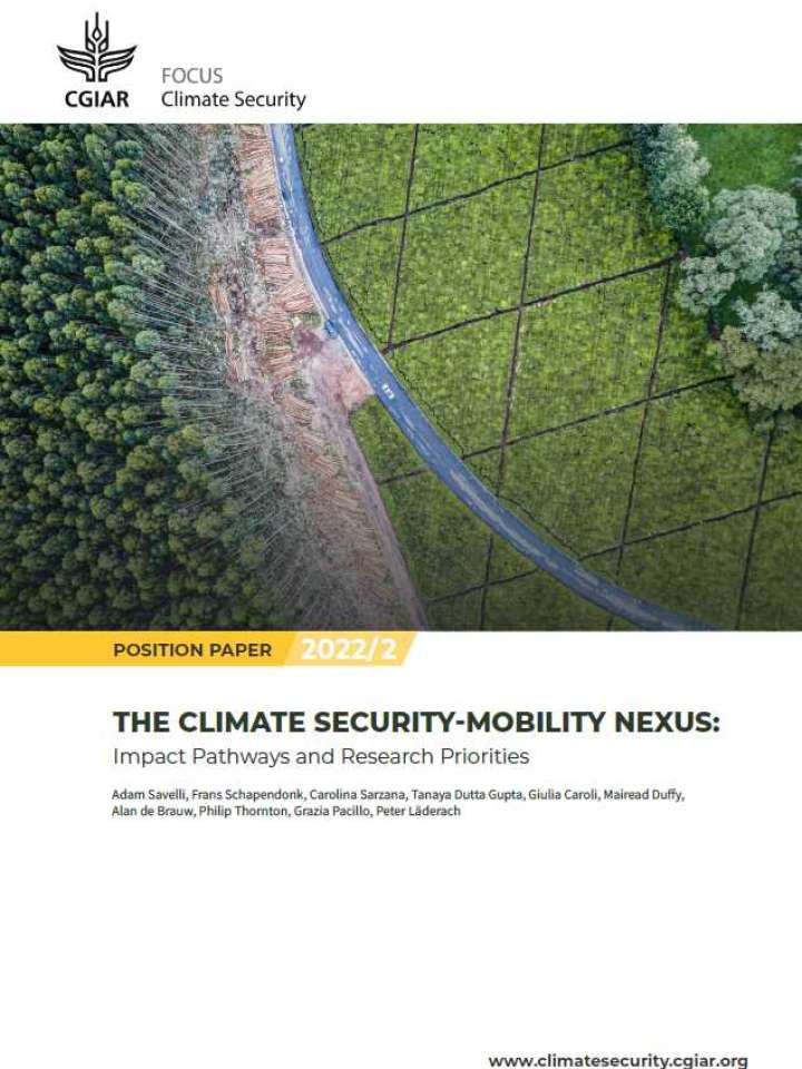 The Climate Security-Mobility Nexus: Impact Pathways and Research Priorities