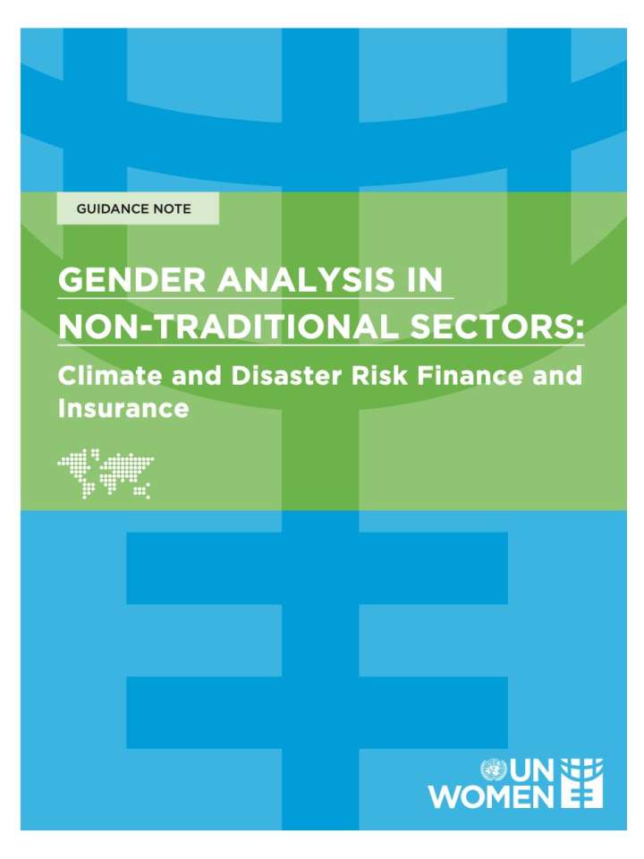 Cover of the UN Women publication
