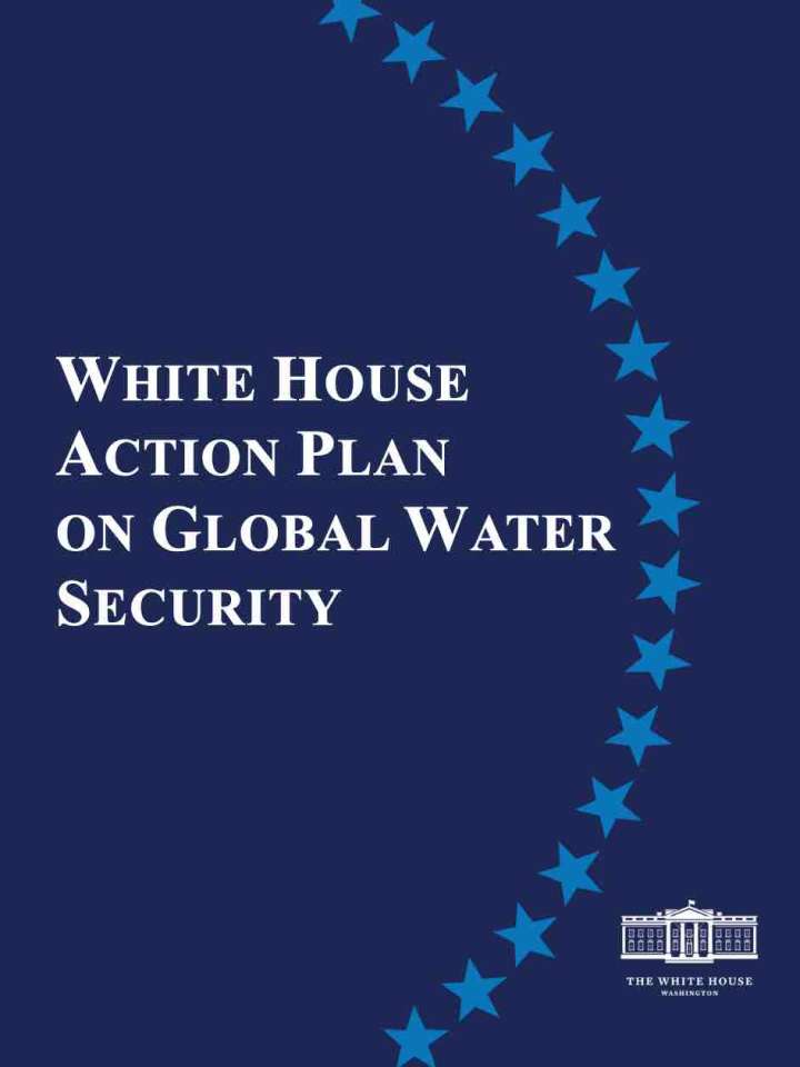 Cover of the White House action plan