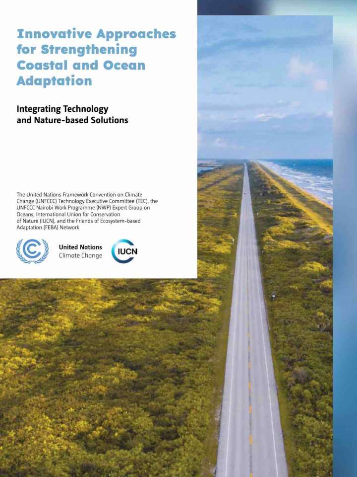 Cover of the policy brief: straight road along a coastline