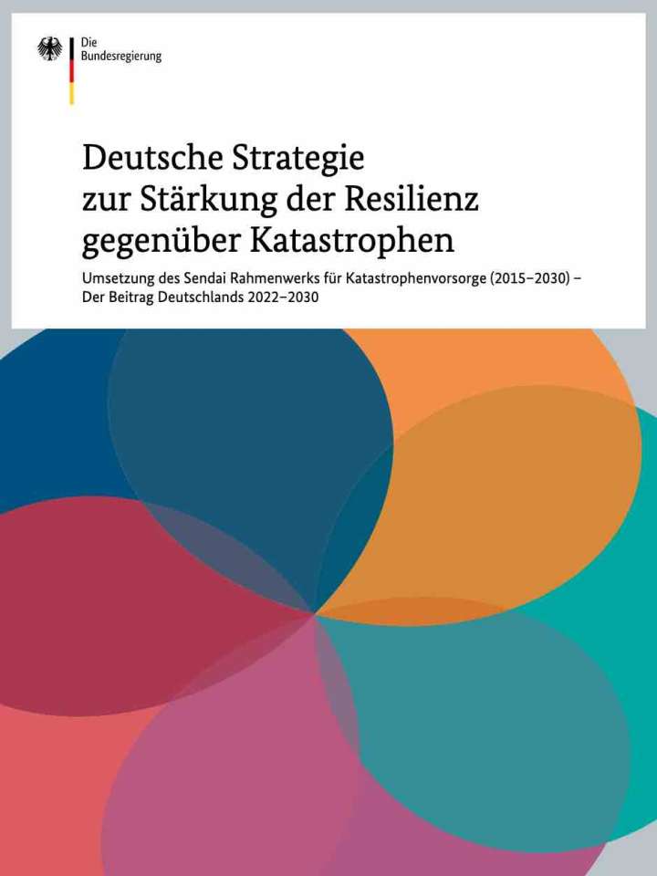 Cover of the disaster resilience stragegy