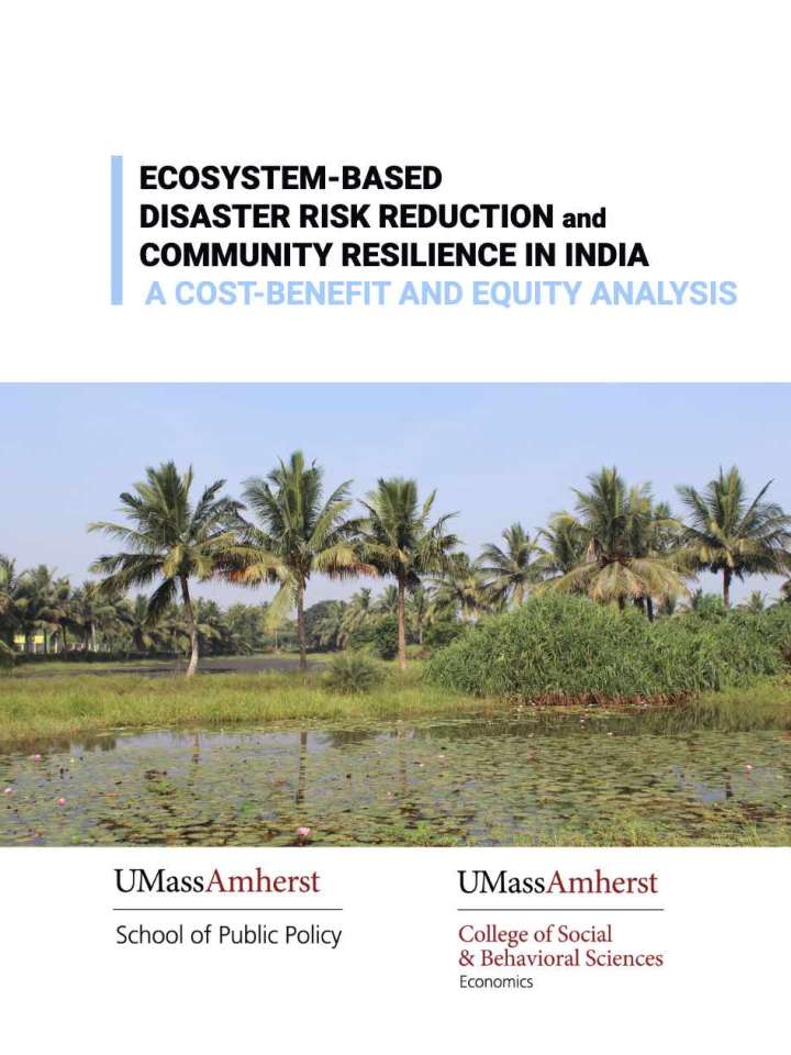 Cover of the publication: wetlands and palm trees