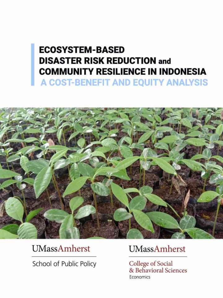 Cover of the report: small plants in the ground