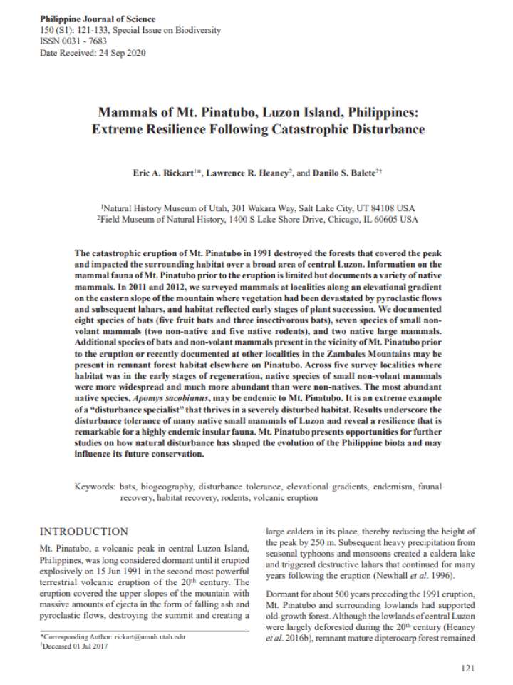 Mammals of Mt. Pinatubo, Luzon Island, Philippines: Extreme Resilience Following Catastrophic Disturbance