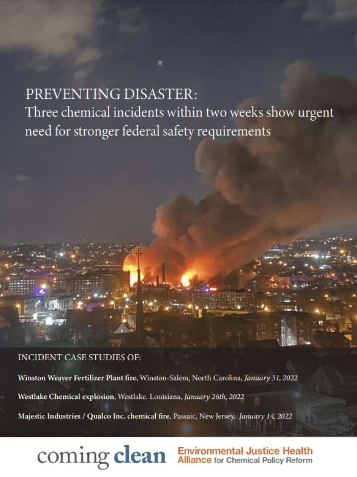 Cover of Preventing disaster