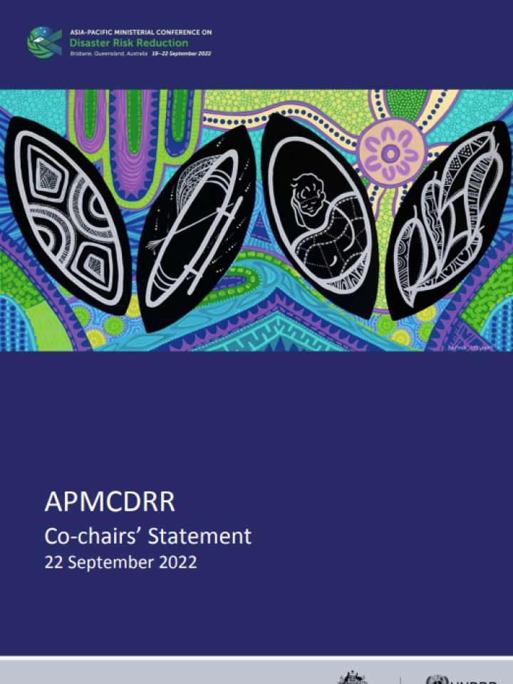 Cover of Co-Chair summary APMCDRR