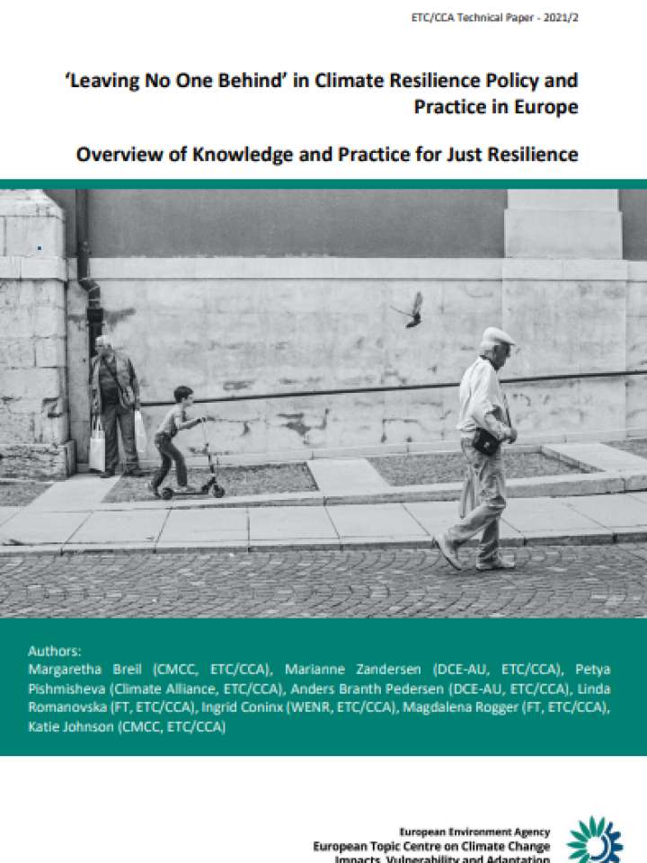Cover of Just transition in the context of adaptation to climate change