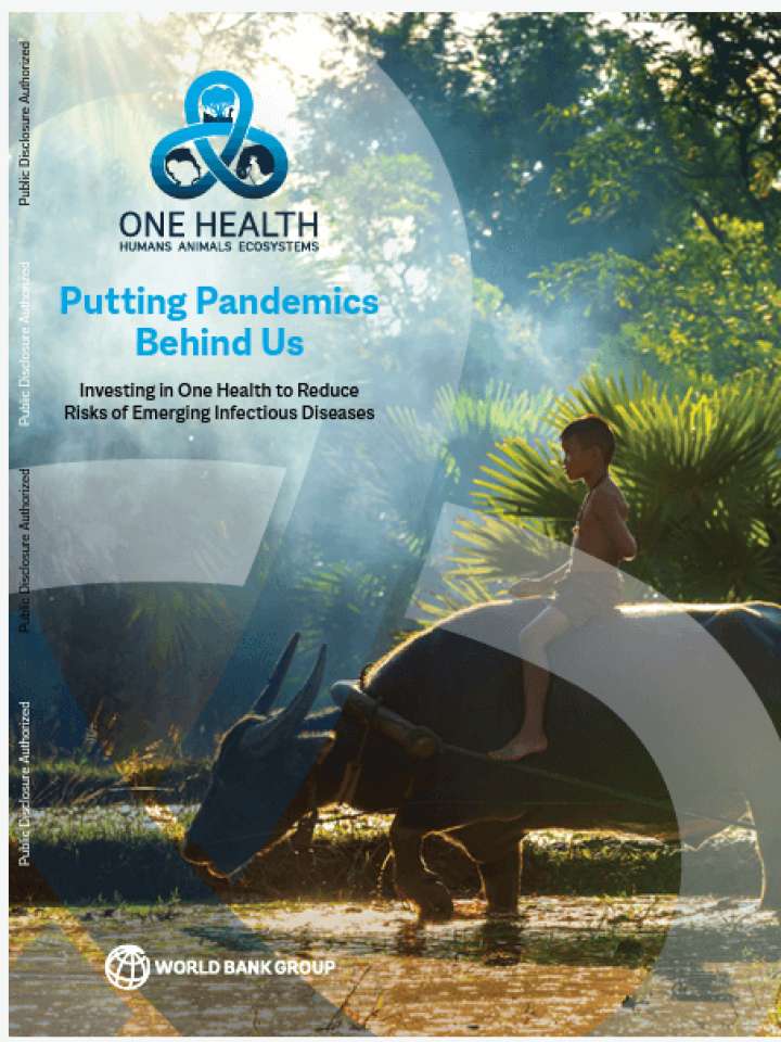 Cover_ Putting pandemics behind: Investing in one health to reduce risks of emerging infectious diseases