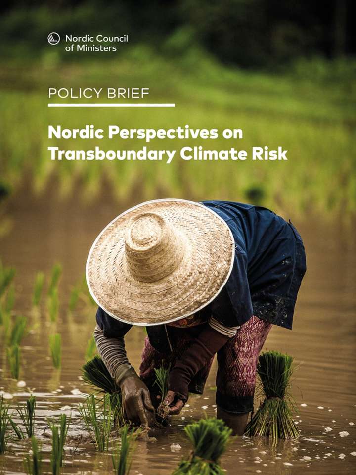 Policy brief: Nordic perspectives on transboundary climate risk