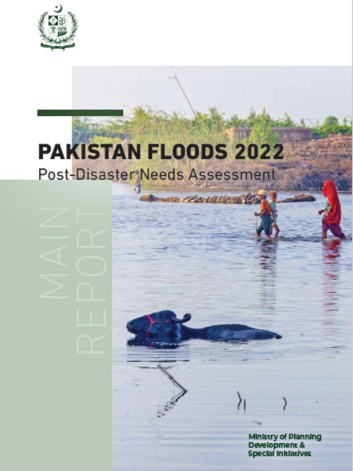 Pakistan Floods 2022 PDNA Cover
