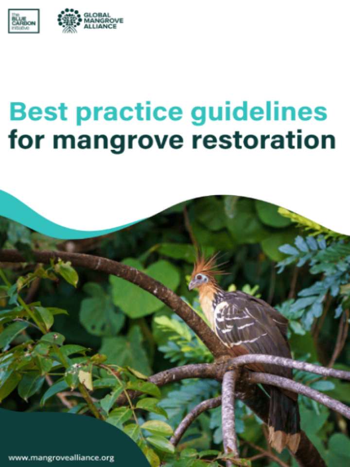 Cover and source: Global Mangrove Alliance
