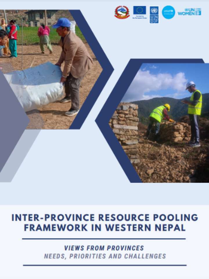 Cover and source: United Nations Development Programme