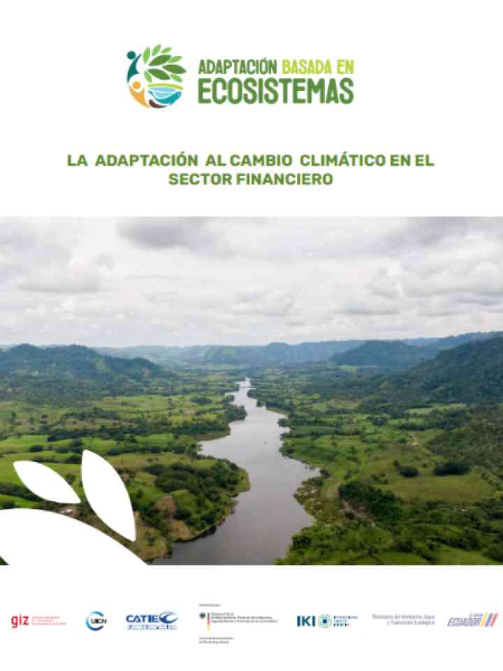Cover and source: Deutsche Gesellschaft für Internationale Zusammenarbeit