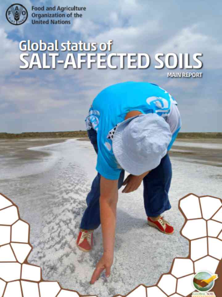 Cover and source: Food and Agriculture Organization of the United Nations