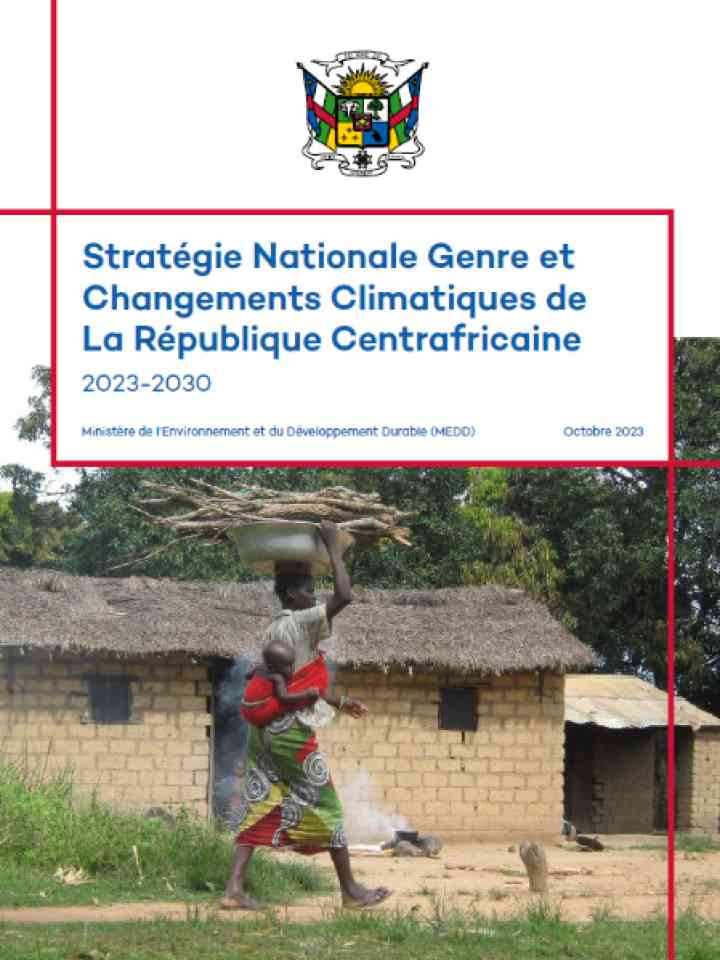 Cover and source: Government of the Central African Republic