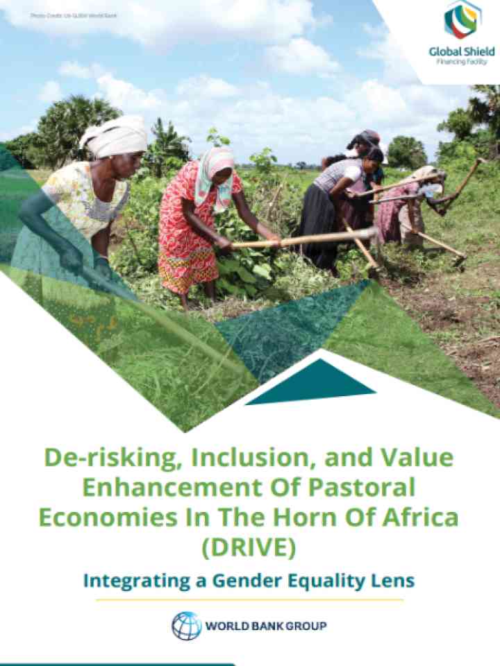 Cover and source: Global Shield Financing Facility
