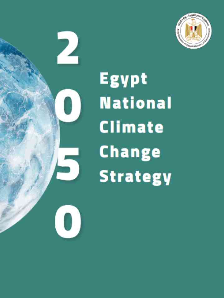Cover and source: Government of Egypt