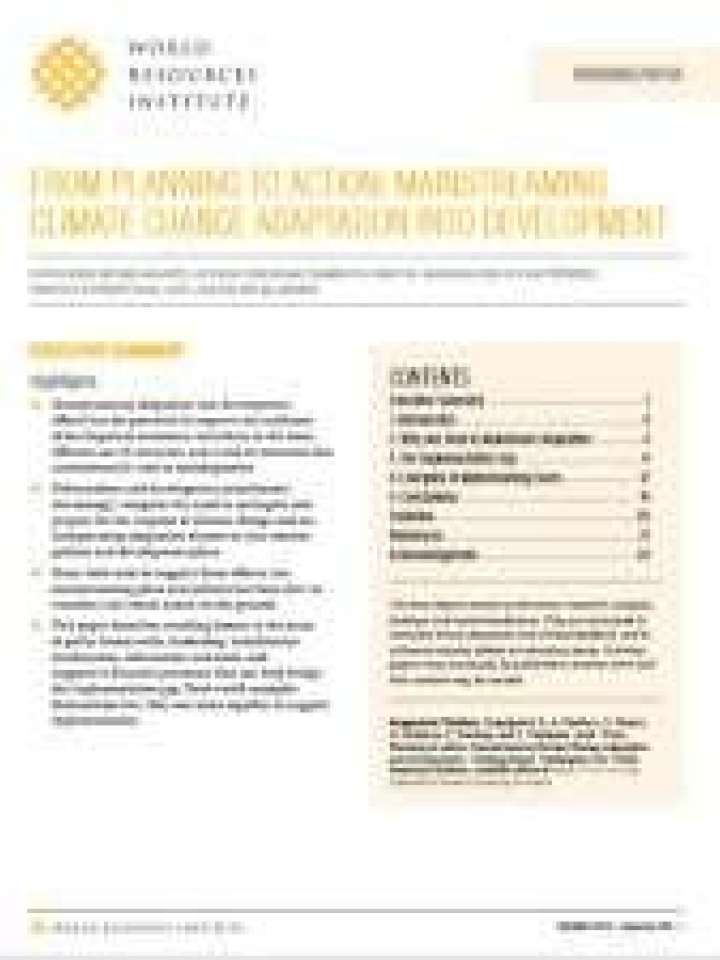From planning to action: mainstreaming climate change adaptation into ...