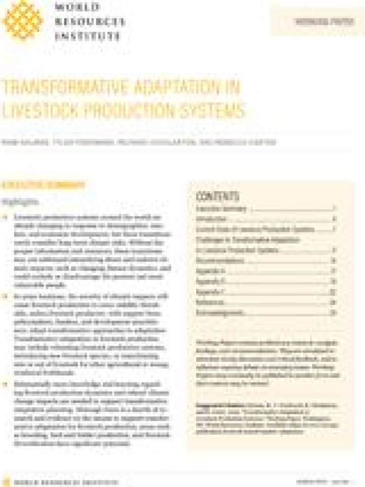 Transformative adaptation in livestock production systems | PreventionWeb