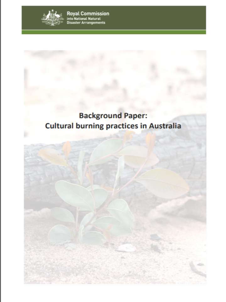 cultural background paper