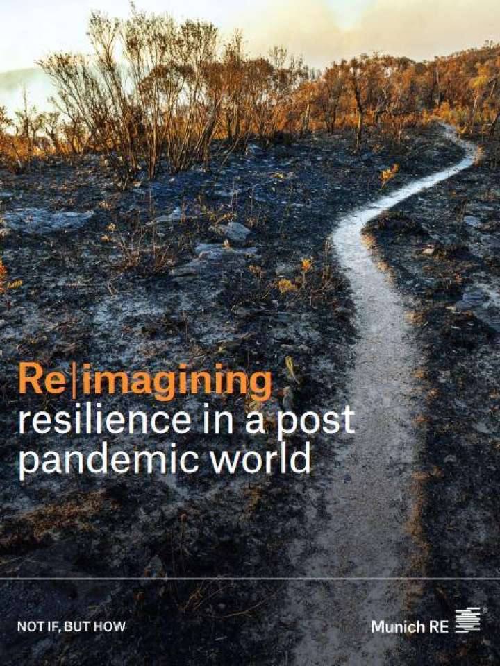 Reimagining Scientific Conferences: pandemic lessons in reducing