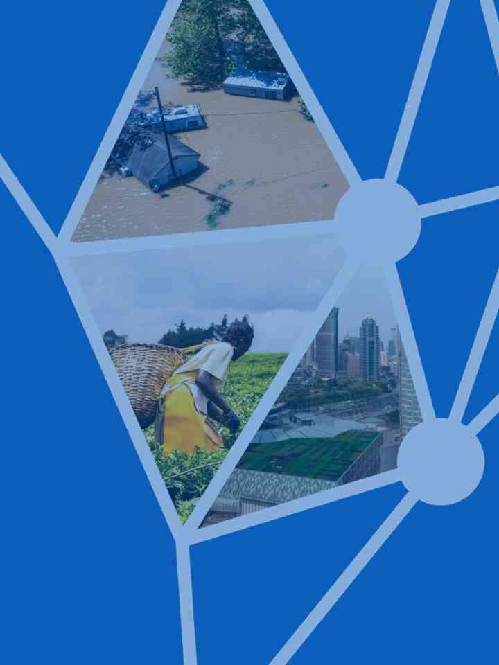 A Practical training manual to help communities deliver nature-based solutions for urban resilience in the Congo basin thumbnail