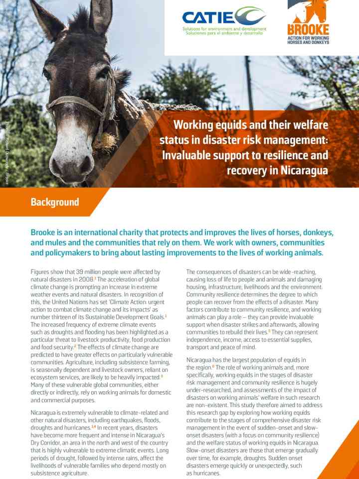 Working equids and their welfare status in disaster risk management:  Invaluable support to resilience and recovery in Nicaragua thumbnail