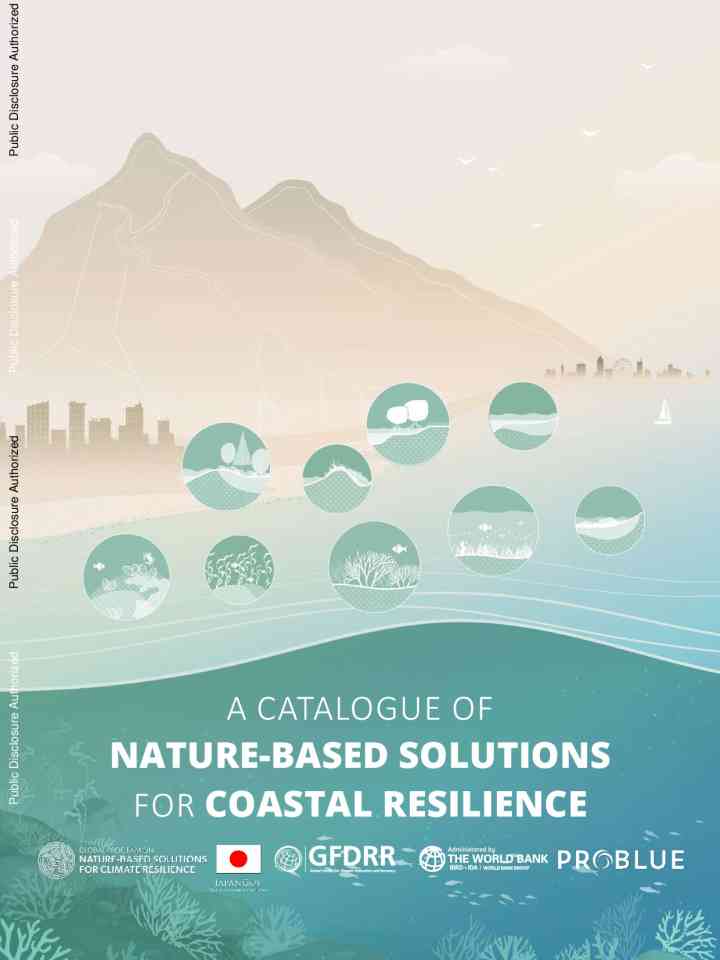 A catalogue of nature‑based solutions for coastal resilience thumbnail