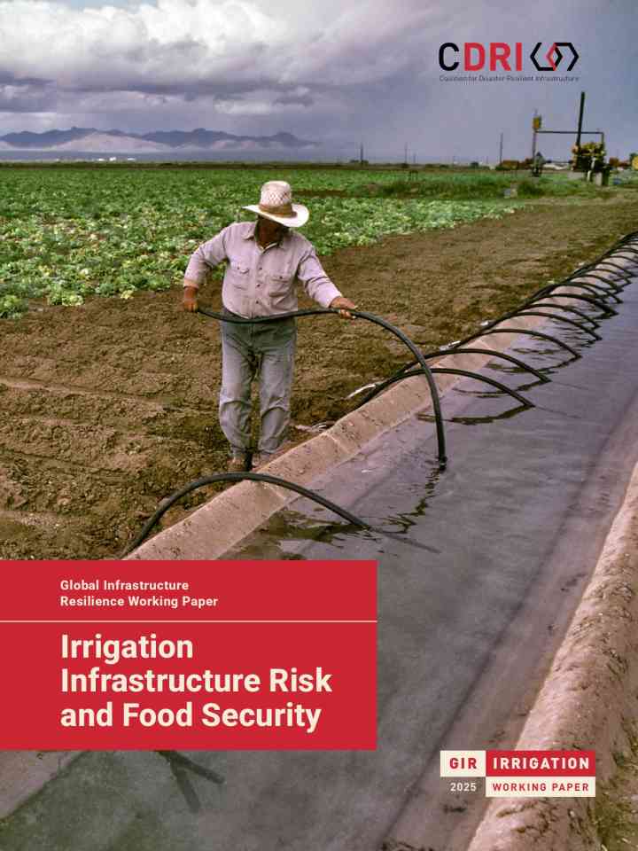 GIR 2025 working paper: irrigation thumbnail
