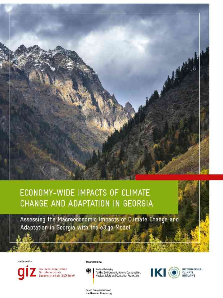 Economy-wide impacts of climate change and adaptation in Georgia thumbnail