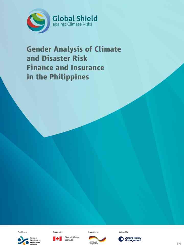 Gender analysis of climate and disaster risk finance and insurance in the Philippines thumbnail