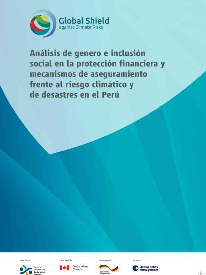 Análisis de genero e inclusión social en la protección financiera y mecanismos de aseguramiento frente al riesgo climático y de desastres en el Perú thumbnail
