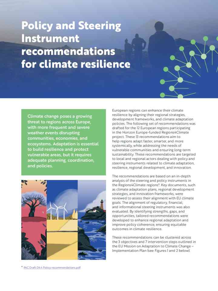 Policy and Steering Instrument recommendations for climate resilience thumbnail