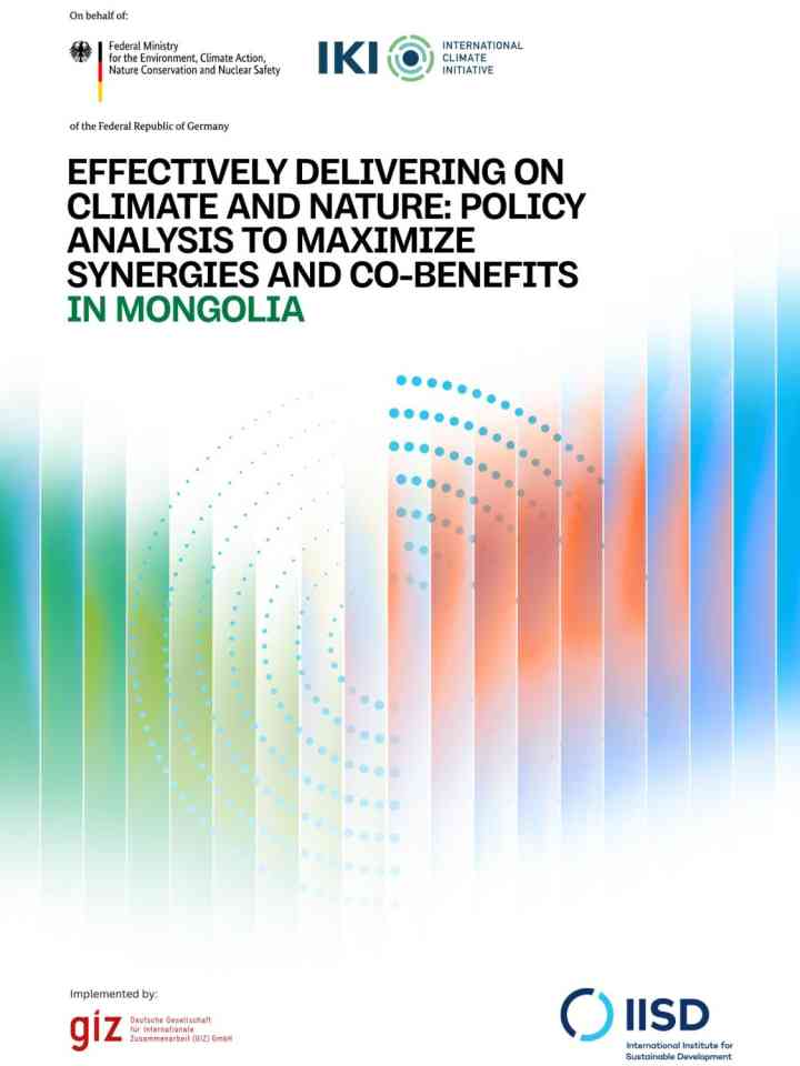 Effectively delivering on climate and nature: Policy analysis to maximize synergies and co-benefits in Mongolia thumbnail