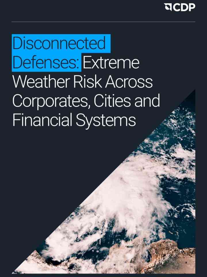 Disconnected defenses: extreme weather risk across corporates, cities and financial systems thumbnail