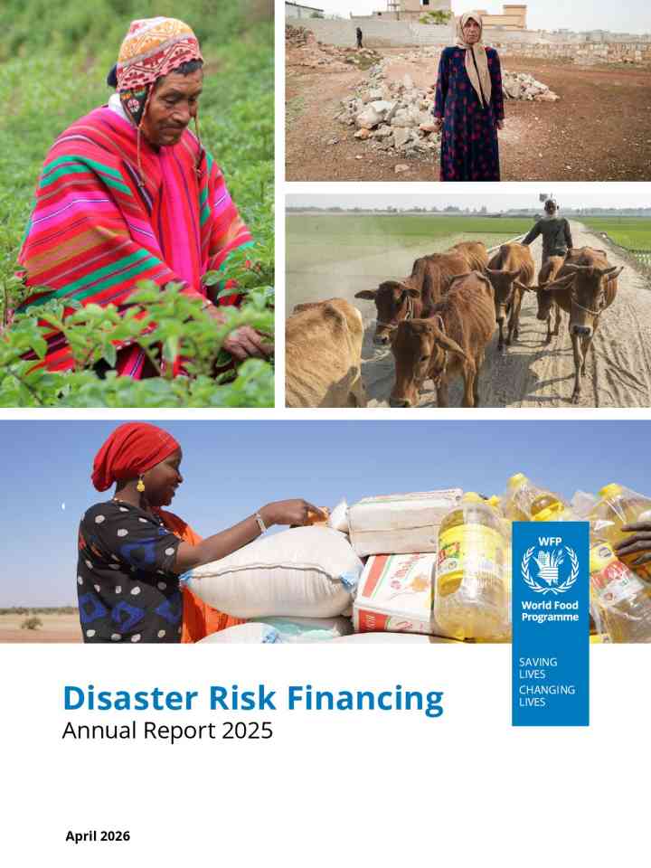 Disaster risk financing: Annual report 2025 thumbnail