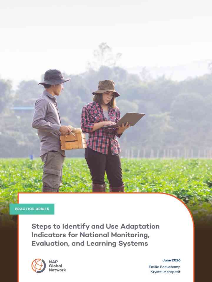 Steps to identify and use adaptation indicators for national monitoring, evaluation, and learning systems thumbnail