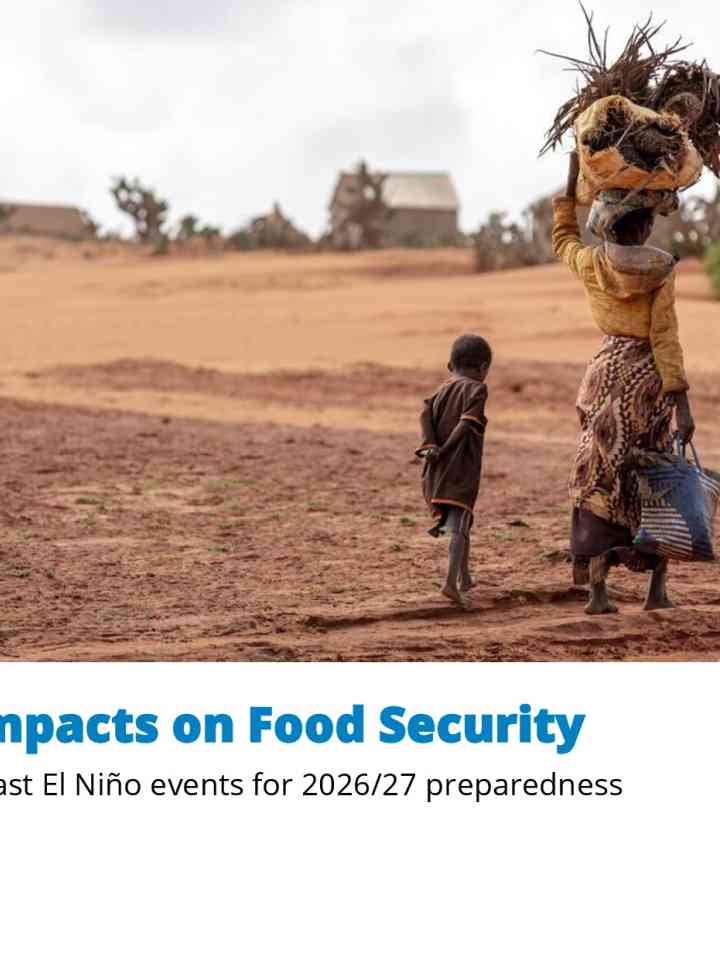 El Niño impacts on food security: Lessons from past El Niño events for 2026/27 preparedness (June 2026) thumbnail