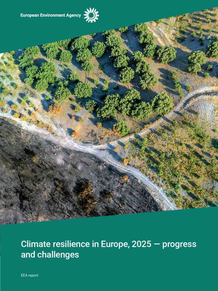 Climate resilience in Europe, 2025 — progress and challenges thumbnail