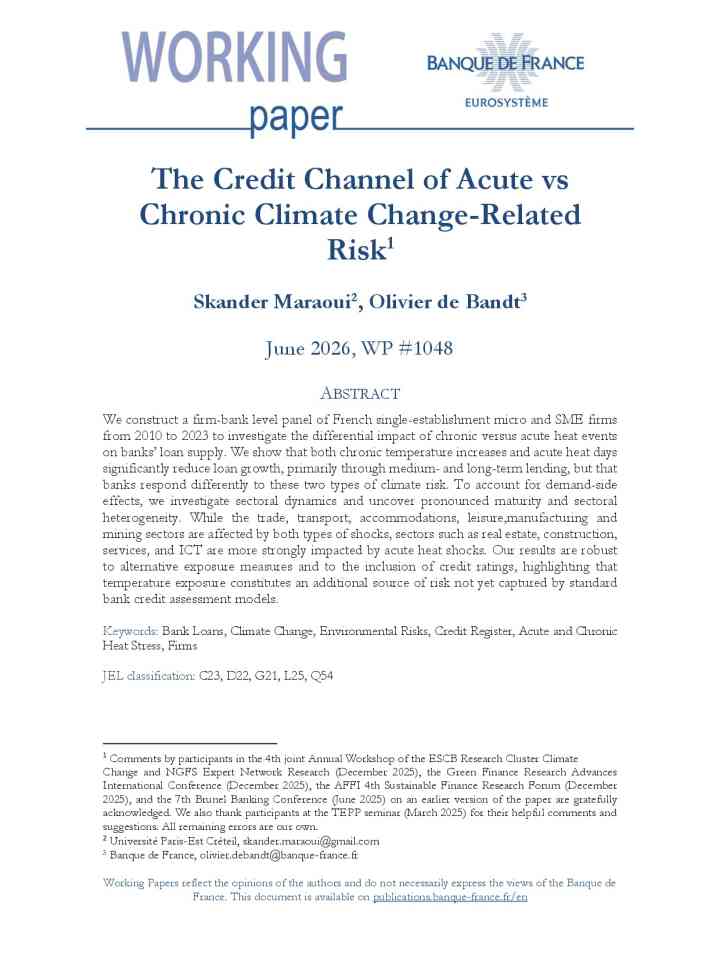 The credit channel of acute vs chronic climate change-related risk thumbnail