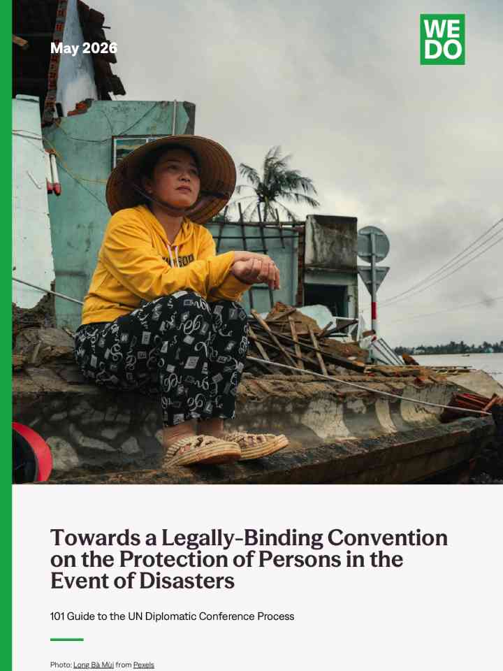 Towards a legally-binding convention on the protection of persons in the event of disasters thumbnail