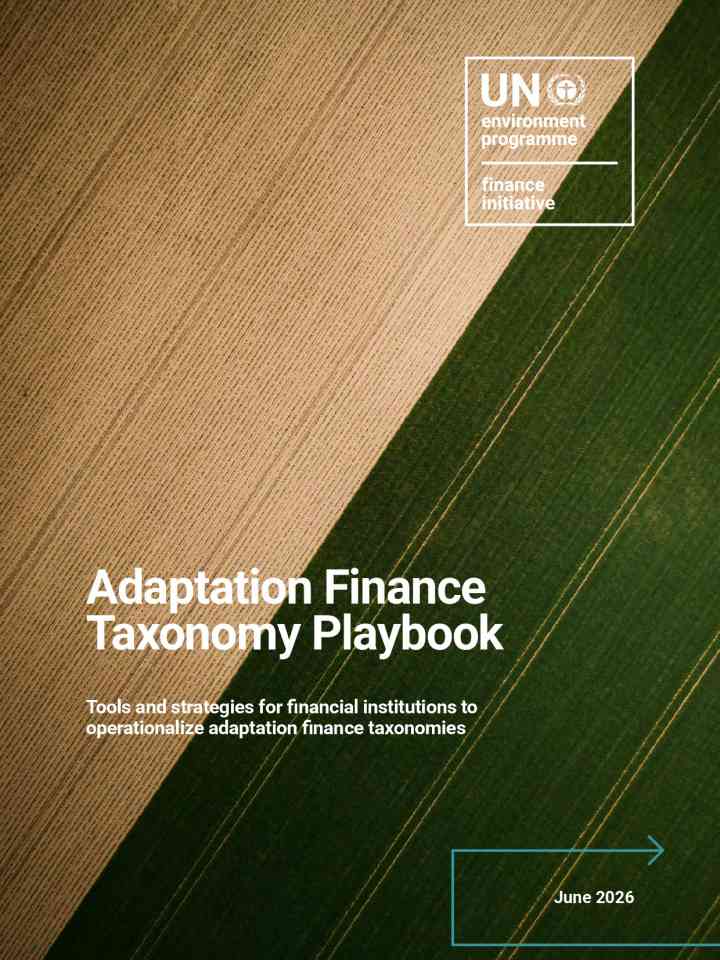 Adaptation Finance Taxonomy Playbook thumbnail