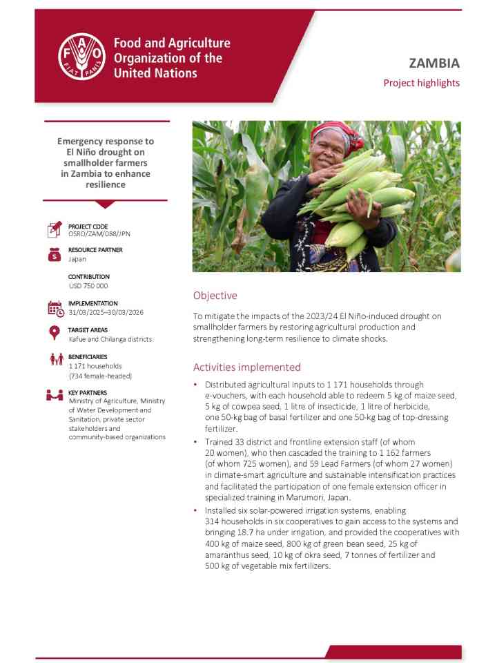 Emergency response to El Niño drought on smallholder farmers in Zambia to enhance resilience thumbnail