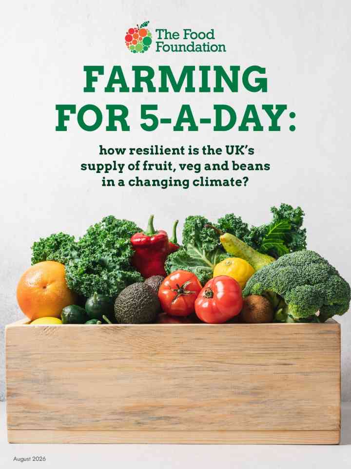 Farming for 5-a-day: how resilient is the UK’s supply of fruit, veg and beans in a changing climate? thumbnail