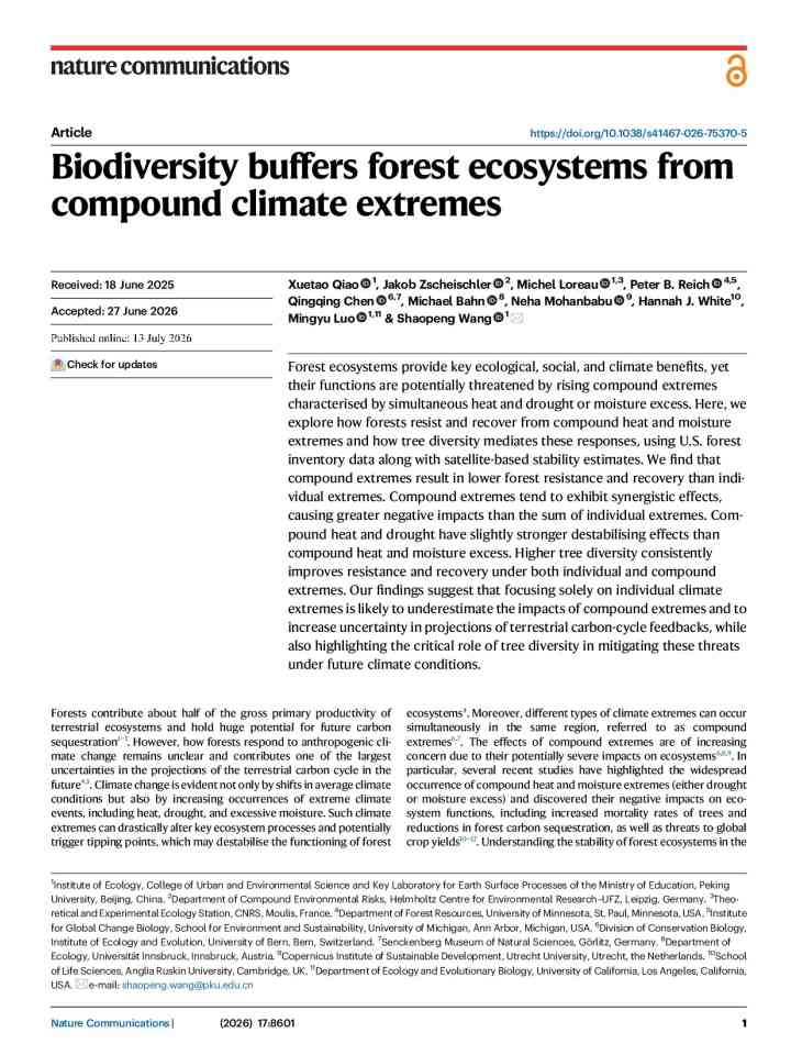 Biodiversity buffers forest ecosystems from compound climate extremes thumbnail
