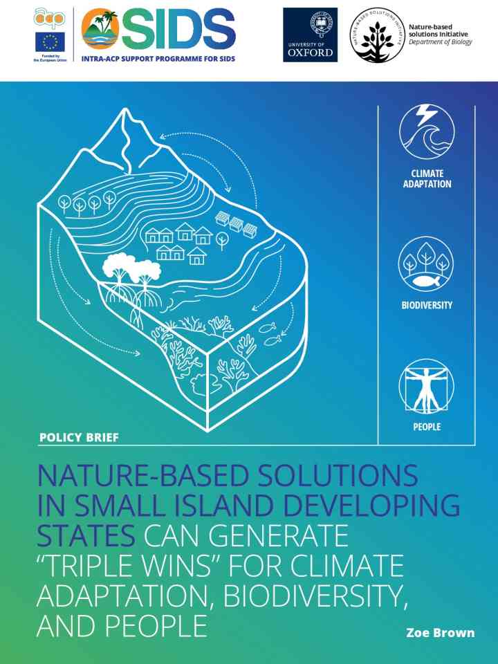 Nature-based solutions in Small Island Developing States can generate "triple wins" for climate adaptation, biodiversity, and people thumbnail