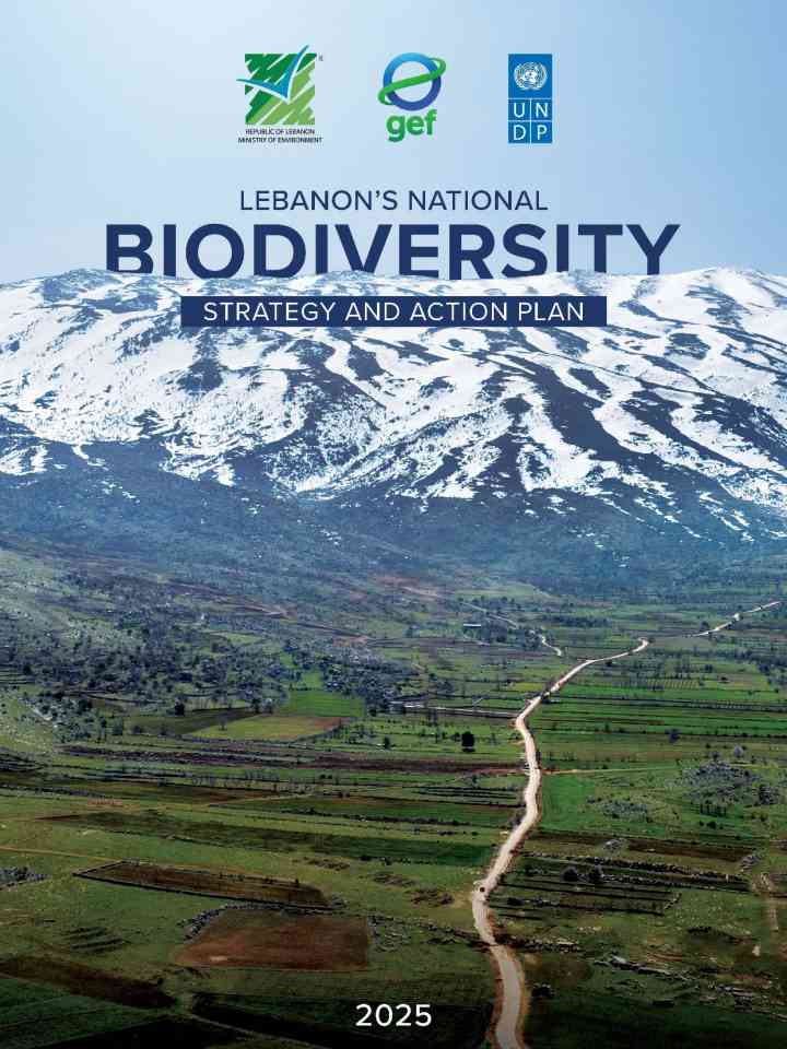 Lebanon's National Biodiversity Strategy and Action Plan thumbnail