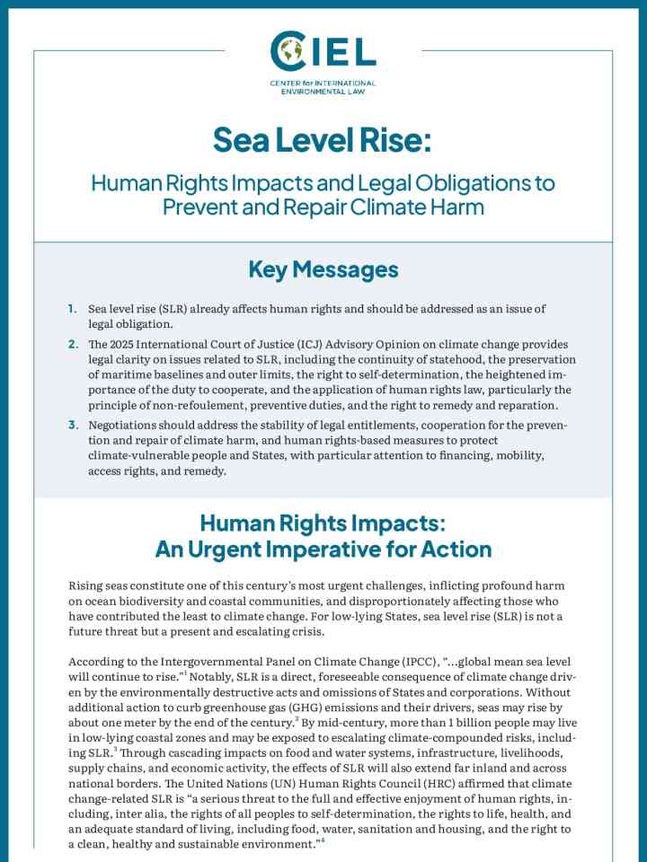 Sea level rise: Human rights impacts and legal obligations to prevent and repair climate harm thumbnail