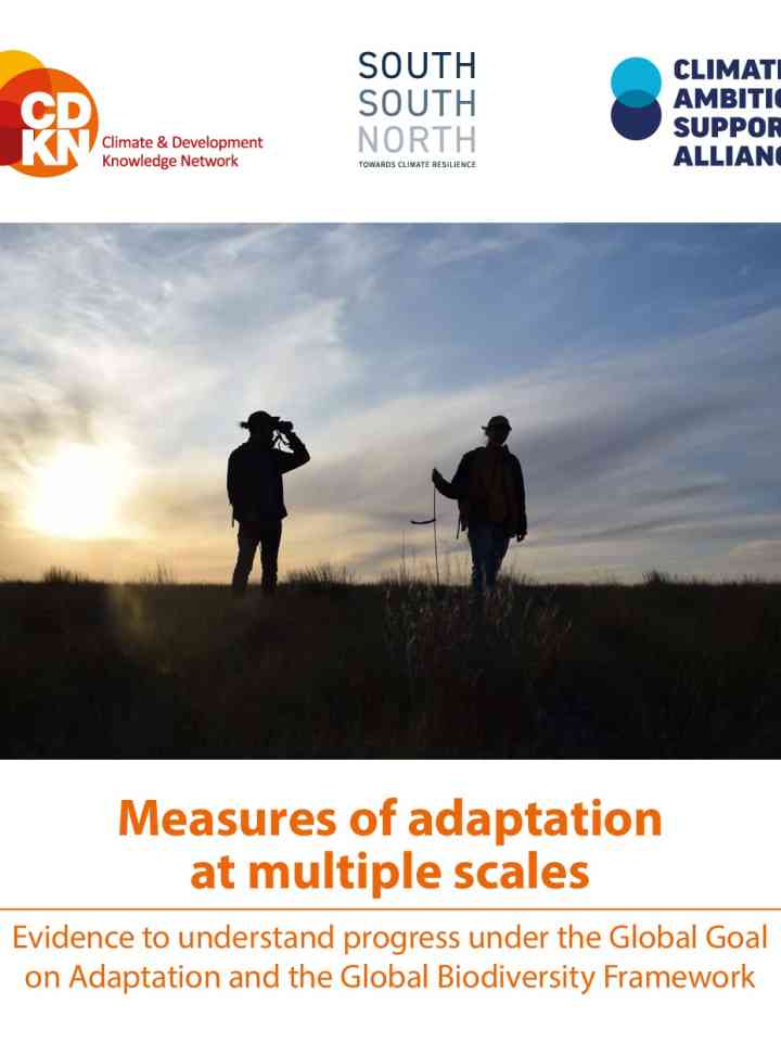 Measures of adaptation at multiple scales: Evidence to understand progress under the Global Goal on Adaptation and the Global Biodiversity Framework thumbnail